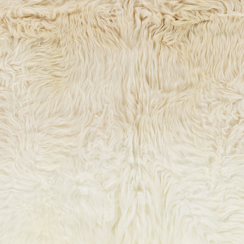 Ardella Novelty Sheepskin Area Rug in Beige & Reviews Joss & Main